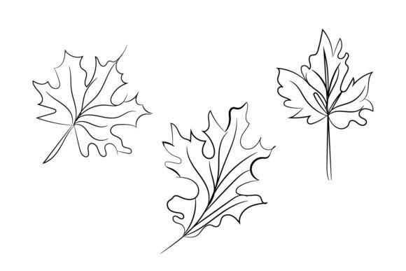 Floral Wildflower Decorative Elements: Graphics for Crafts